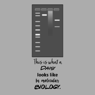 Motiv Biologie Gelelektrophorese
