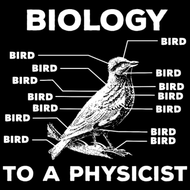 Motiv Biologie Für Einen Physiker