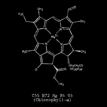 Motiv Biologie Lehrer, Biologie Lehrerin, lehrer, lehrer