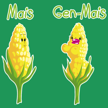 Motiv Mais & Gen-Mais