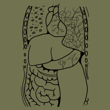 Motiv Der Körper, Organe