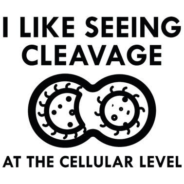 Motiv Ich mag es, Spaltung auf zellulärer Ebene zu sehen