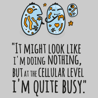 Motiv It Might Look Like I'm Doing Nothing...