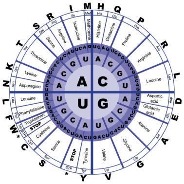 Motiv Genetic Code - T-Shirt