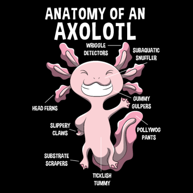 Motiv Anatomie eines Axolotls Lehrer Geschenk