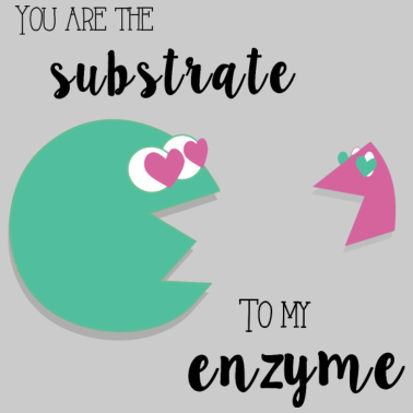 Motiv Love Enzyme