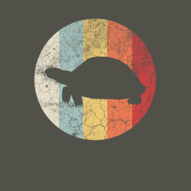 Motiv Schildkröte Kunst Bunt