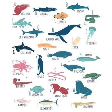Motiv Meerestiere Alphabet Meeresbiologie