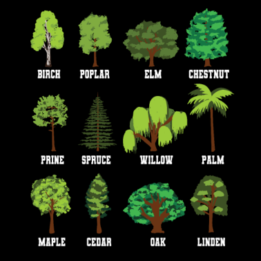 Motiv Bäume Biologie Biologie