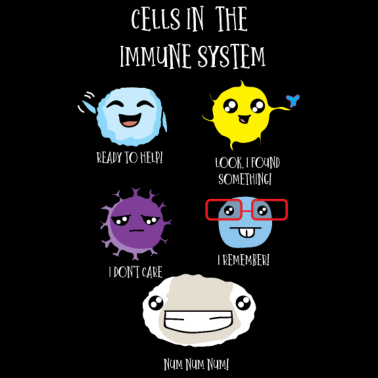 Motiv Immunsystem Zellen des Körpers, Biologie