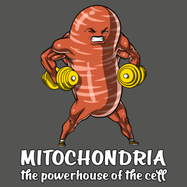 Motiv Biologie-Wissenschafts-lustiger Mitochondrien-Schulwitz