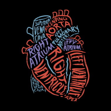 Motiv Herz Anatomie Biologie Geschenk Aorta Herzschlag