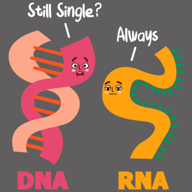 Motiv Immer noch Single Immer DNA RNA-Ketten Biologie