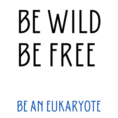 Motiv Be an eukaryote