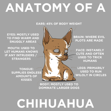 Motiv Anatomie eines Chihuahua-Geschenks