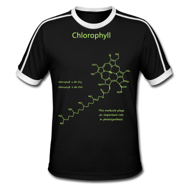 Bio LK T-Shirt - Chlorophyll