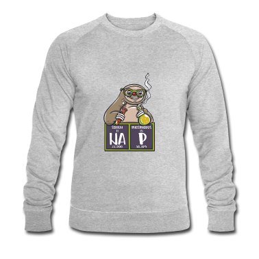 Chemie LK Pullover - Faultier Physik Chemie Lehrer lustig Geschenk toll