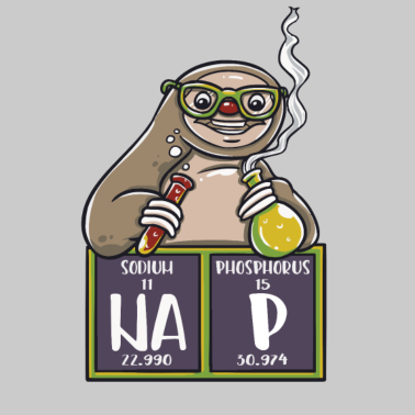 Motiv Faultier Physik Chemie Lehrer lustig Geschenk toll