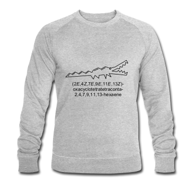 Chemie LK Pullover - Crocene - chemisches Krokodil