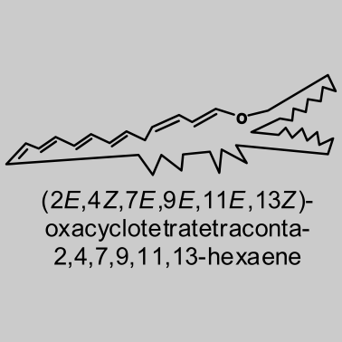 Motiv Crocene - chemisches Krokodil