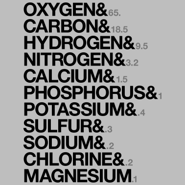 Motiv Elements of human body