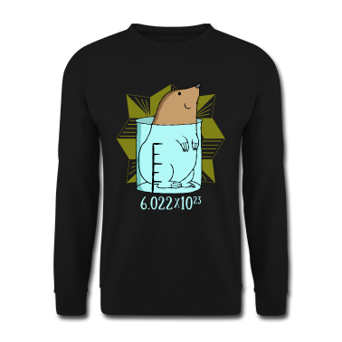 Chemie LK Pullover - Chemie