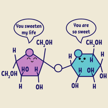 Motiv You are so sweet Chemie Chemiker Wissenschaft
