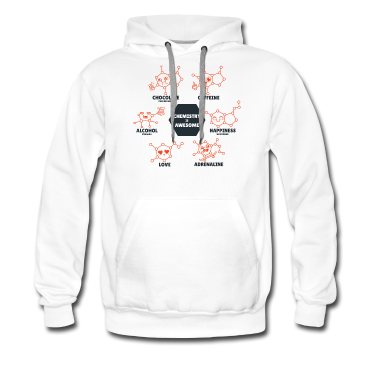 Chemie LK Hoodie - Die Chemie ist großartig