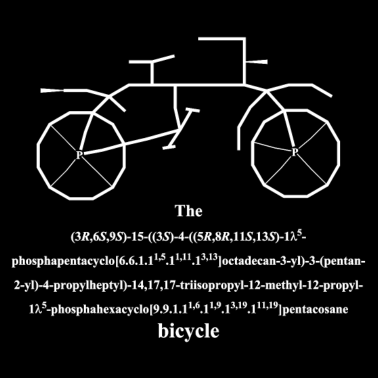 Motiv Fahrrad - bicycle (white)