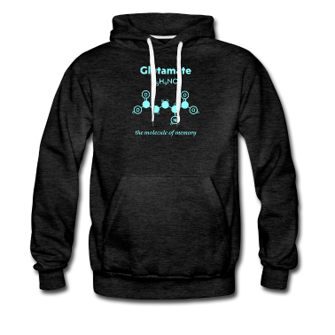 Chemie LK Hoodie - Glutamate Memory molecule chemie