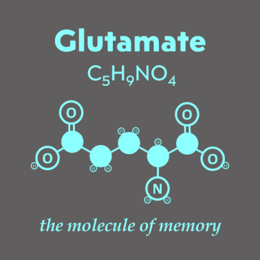 Motiv Glutamate Memory molecule chemie