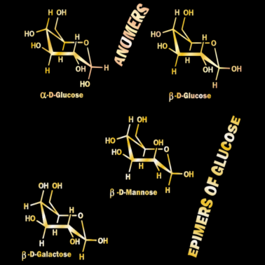 Motiv Anomers and Epimers - Rosie Aldrich