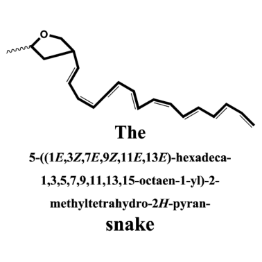 Motiv Schlange - Nerd IUPAC Nomenklatur - Chemie - black