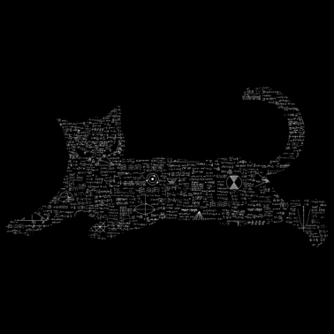 Motiv Formel Schrödingers Katze