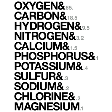 Motiv Elements of human body