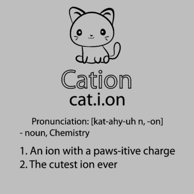 Motiv Ion Katze Chemie Katze