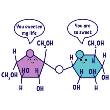 Motiv You are so sweet Chemie Chemiker Wissenschaft