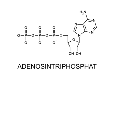 Motiv ATP Chemie Lehrer Student Wissenschaft