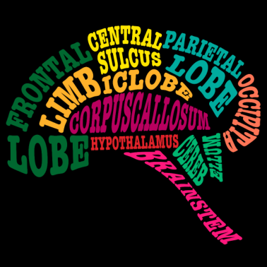 Motiv Wissenschaft Biologie Biologe Geschenk