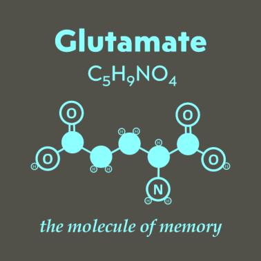 Motiv Glutamate Memory molecule chemie