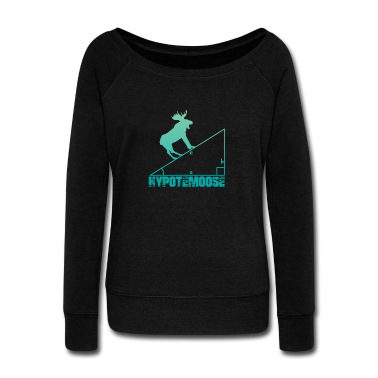 Geschichte LK Pullover - Hypotemoose lustiger Englischer mathe witz