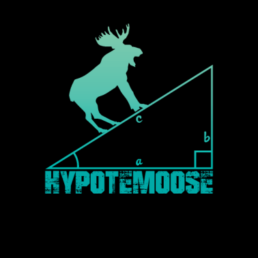 Motiv Hypotemoose lustiger Englischer mathe witz