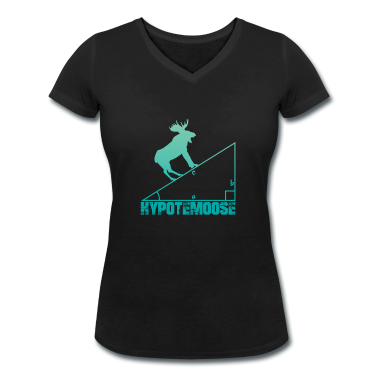 Geschichte LK T-Shirt - Hypotemoose lustiger Englischer mathe witz