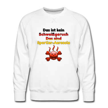 Sport LK Pullover - Sportler Aerosole