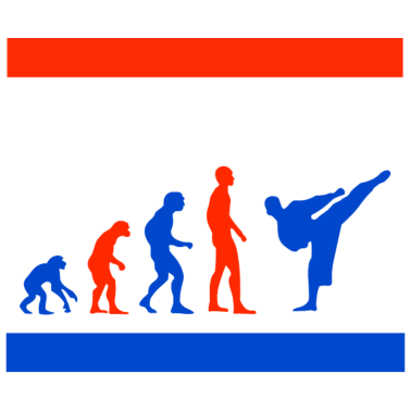 Motiv Taekwondo Evolution Kampfsport