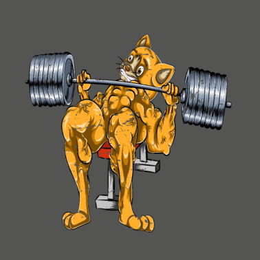 Motiv Katze bankdrücken Sportler