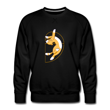 Mathe LK Pullover - Spiral Katze Geschenk Fibonacci Folge Mathe