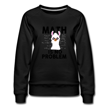 Mathe LK Pullover - Mathe ist kein Problem