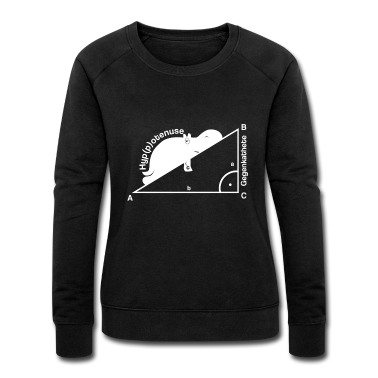 Mathe LK Pullover - Mathe