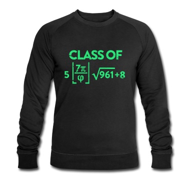Mathe LK Pullover - Mathe 2032